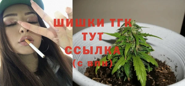 apvp Новозыбков