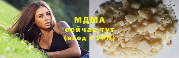 PSILOCYBIN Гатчина