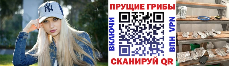 Галлюциногенные грибы Cubensis  Осташков 